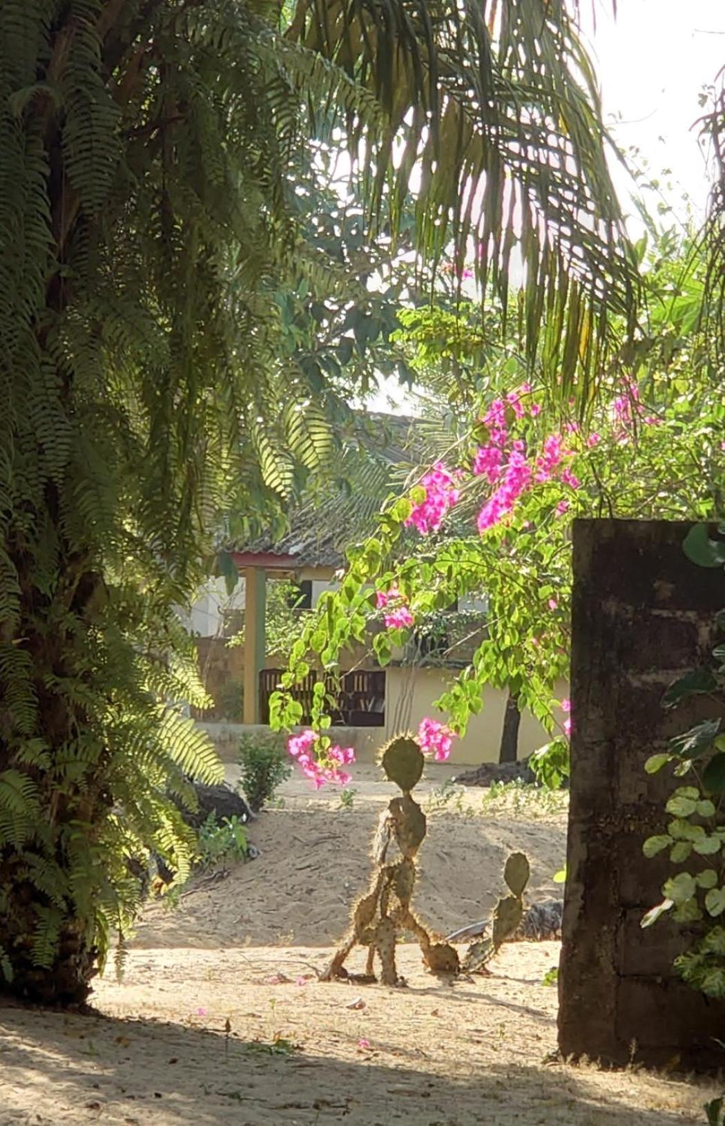 Rundbungalow Auf Lionsrest Grand-Bassam Extérieur photo