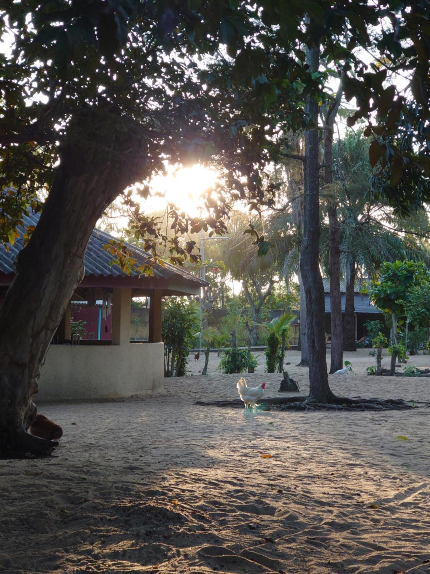 Rundbungalow Auf Lionsrest Grand-Bassam Extérieur photo